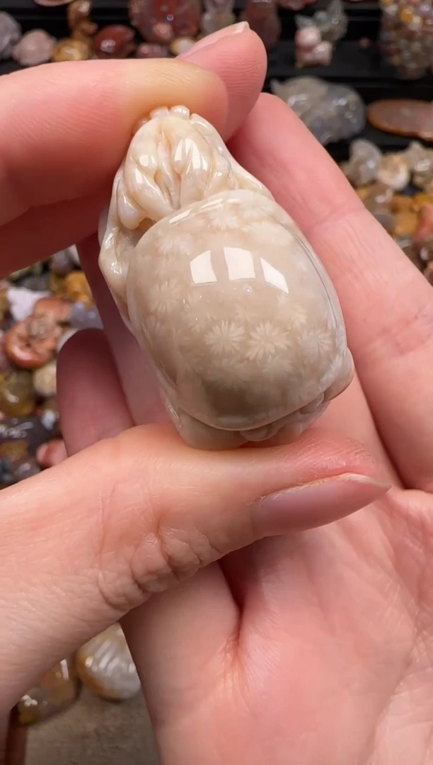 硅化珊瑚（珊瑚玉）未镶嵌颈饰355