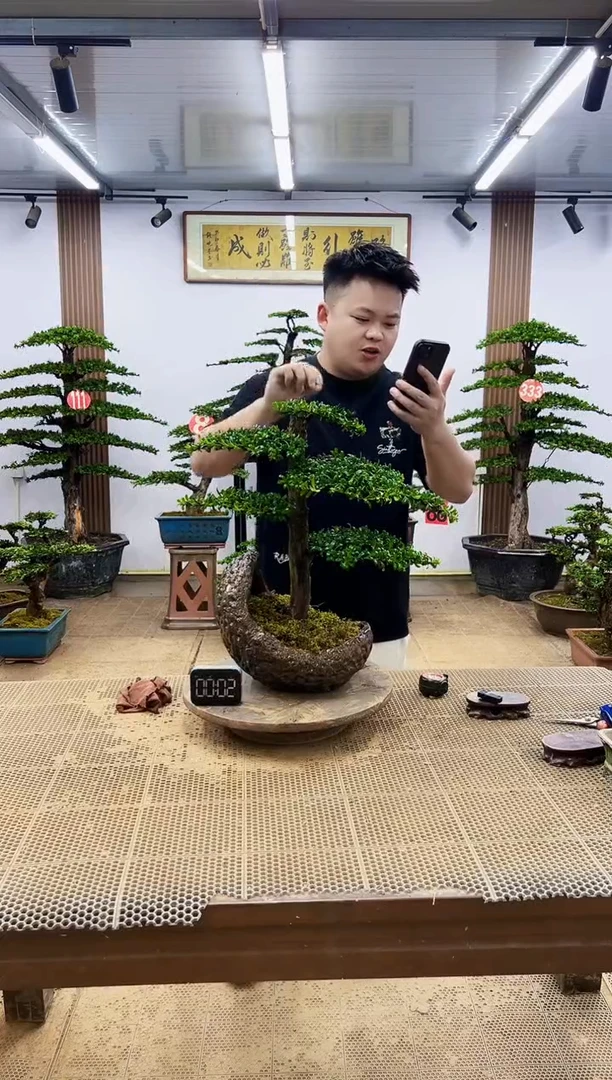 无花朵一物一拍，所见即所得