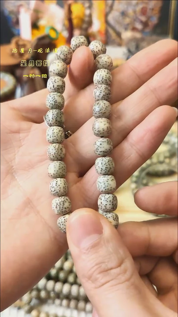 手串星月菩提9*8mm星点料石玉料单圈