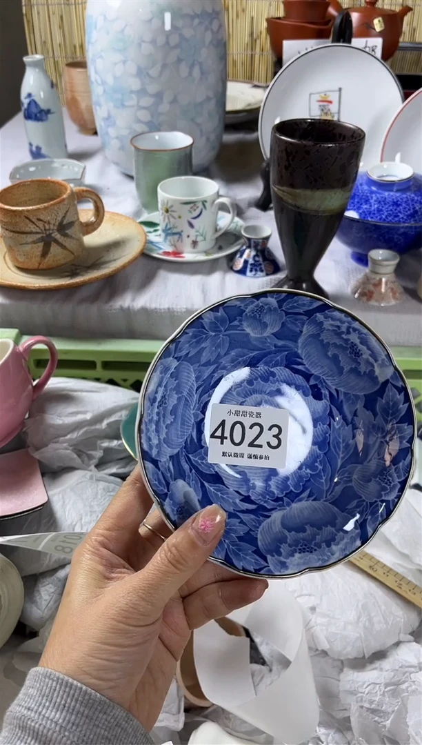 【闪购商品】碟             4023