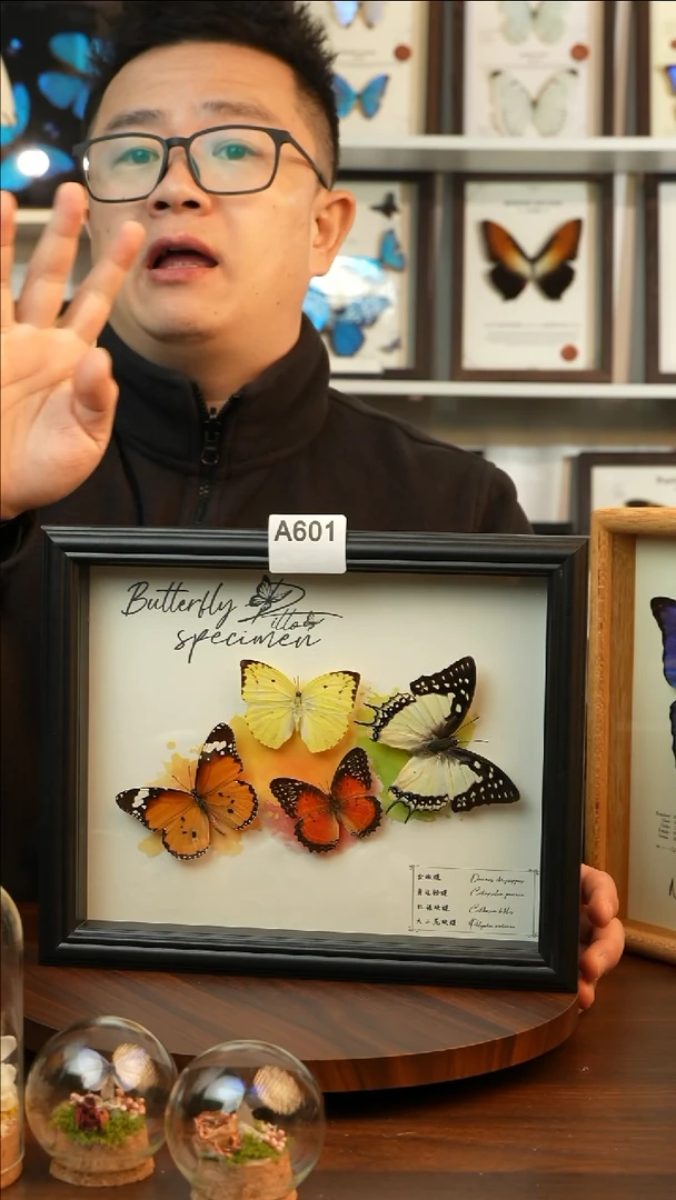 四色蝴蝶组合（10寸欧式黑框）A601