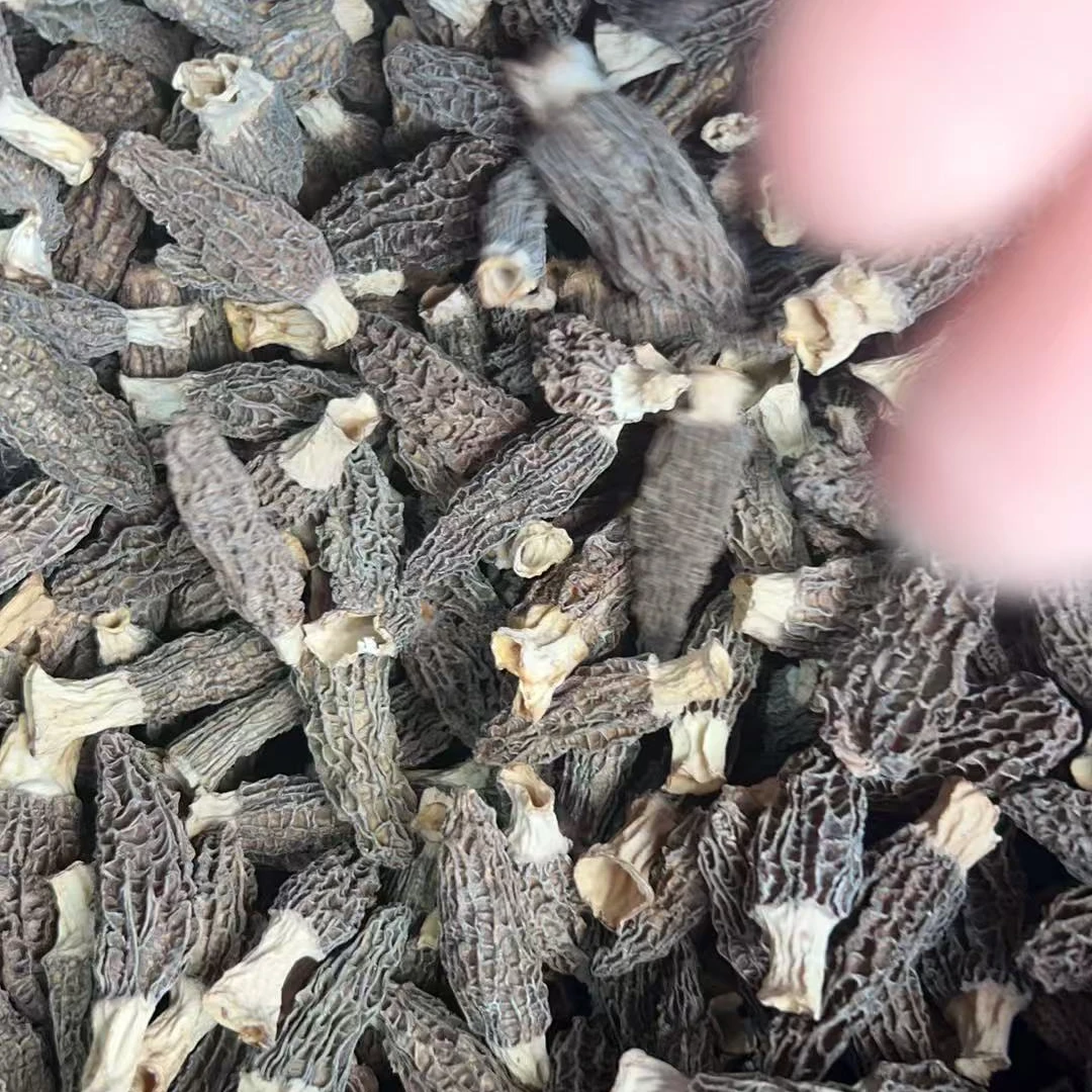 619300羊肚菌丁丁菇干菌菇