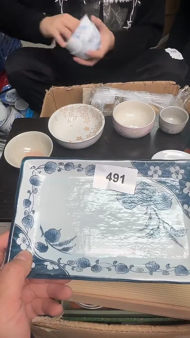 瓷片瓷器瓷器瓷器491