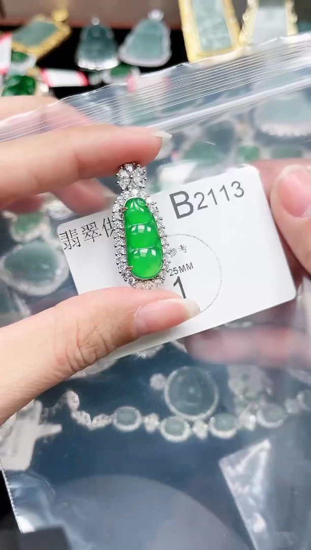 【闪购商品】翡翠颈饰未镶嵌2113赠皮绳