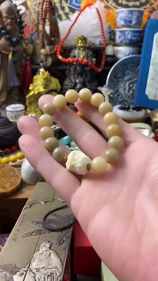 木------主播推荐------