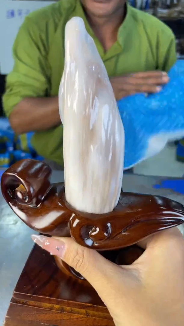 未镶嵌摆件硅化玉6