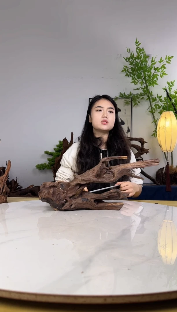 筱*?拍沉木定向链接编号56