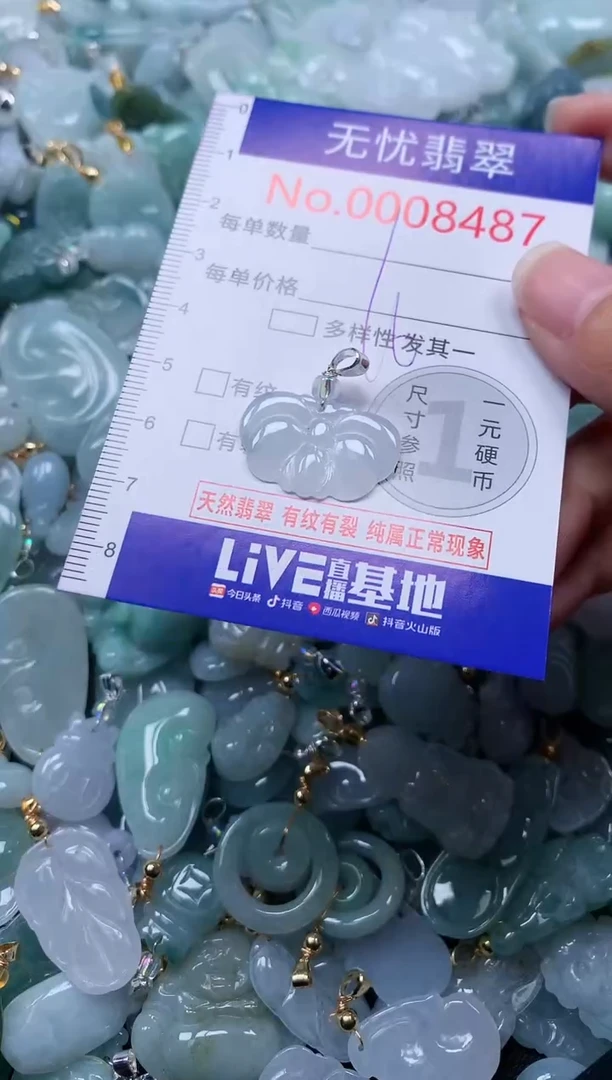 颈饰未镶嵌翡翠8487