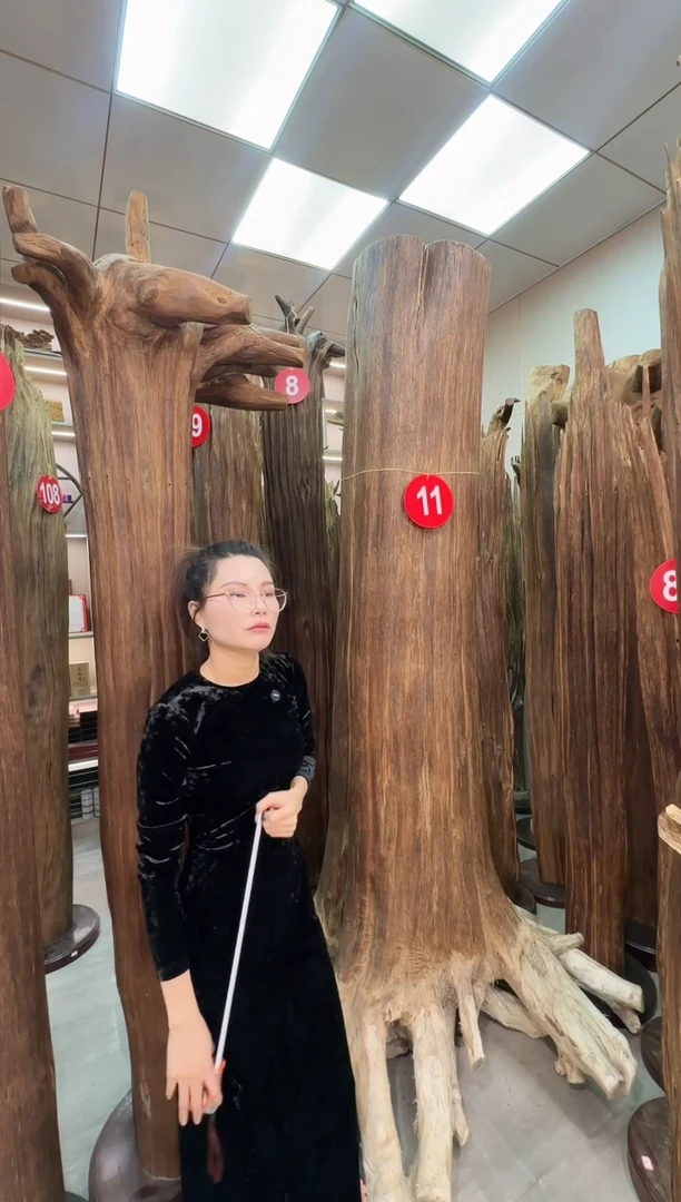 沉香摆件杨*沉香原料 七天无理由