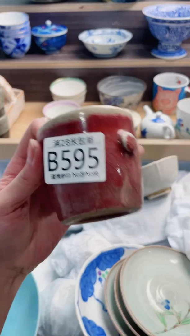 【闪购商品】B595***********