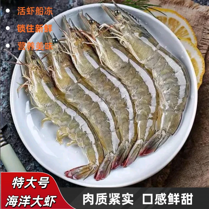 特大号海洋大虾 新鲜活虾锁冻到手5斤 12-15只/斤 顺丰冷链发货an