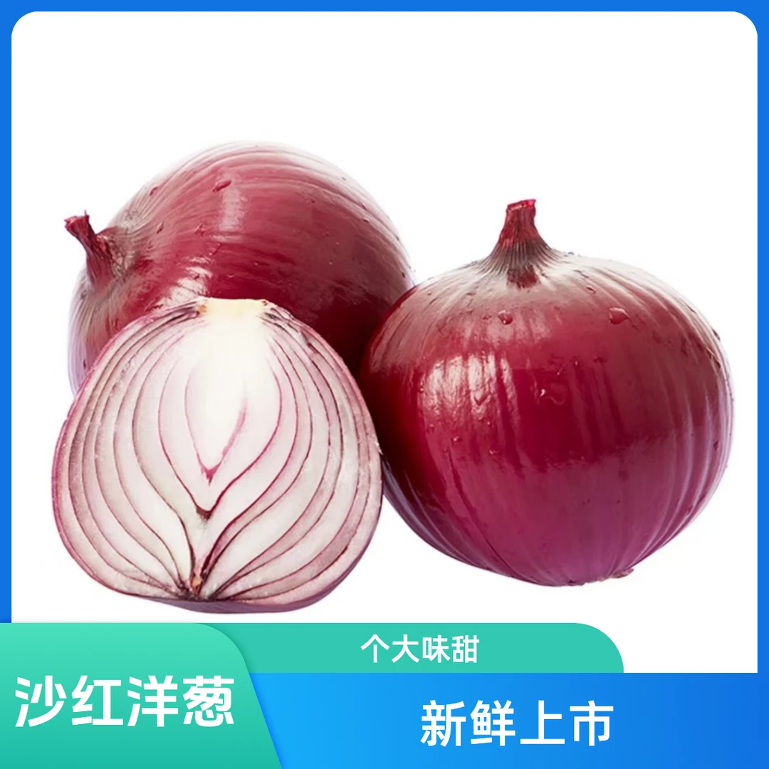 【冯长广小时达】常阴沙红洋葱约600g洋葱同城送洋葱同城送
