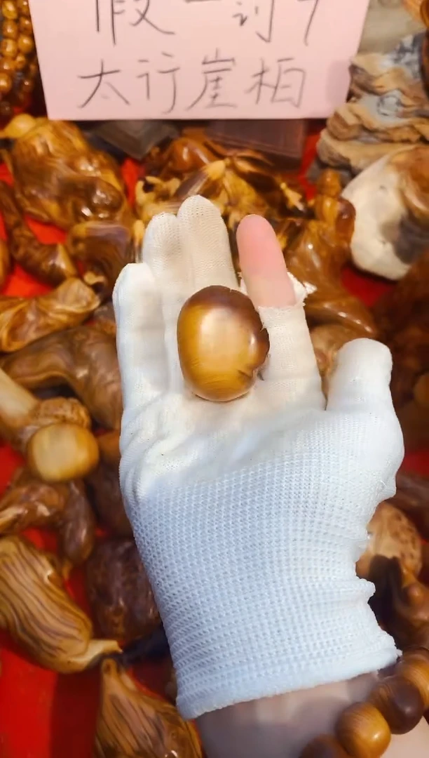 柏木3崖柏崖柏崖柏