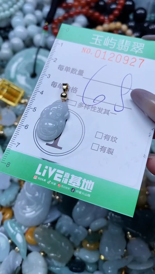 翡翠未镶嵌颈饰闪购0120927