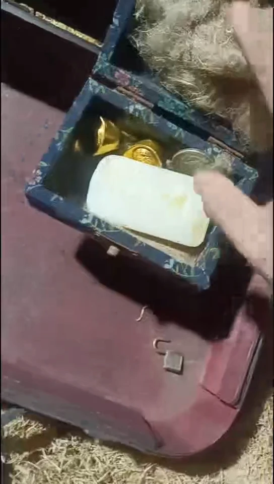 香榧木开封花朵2号