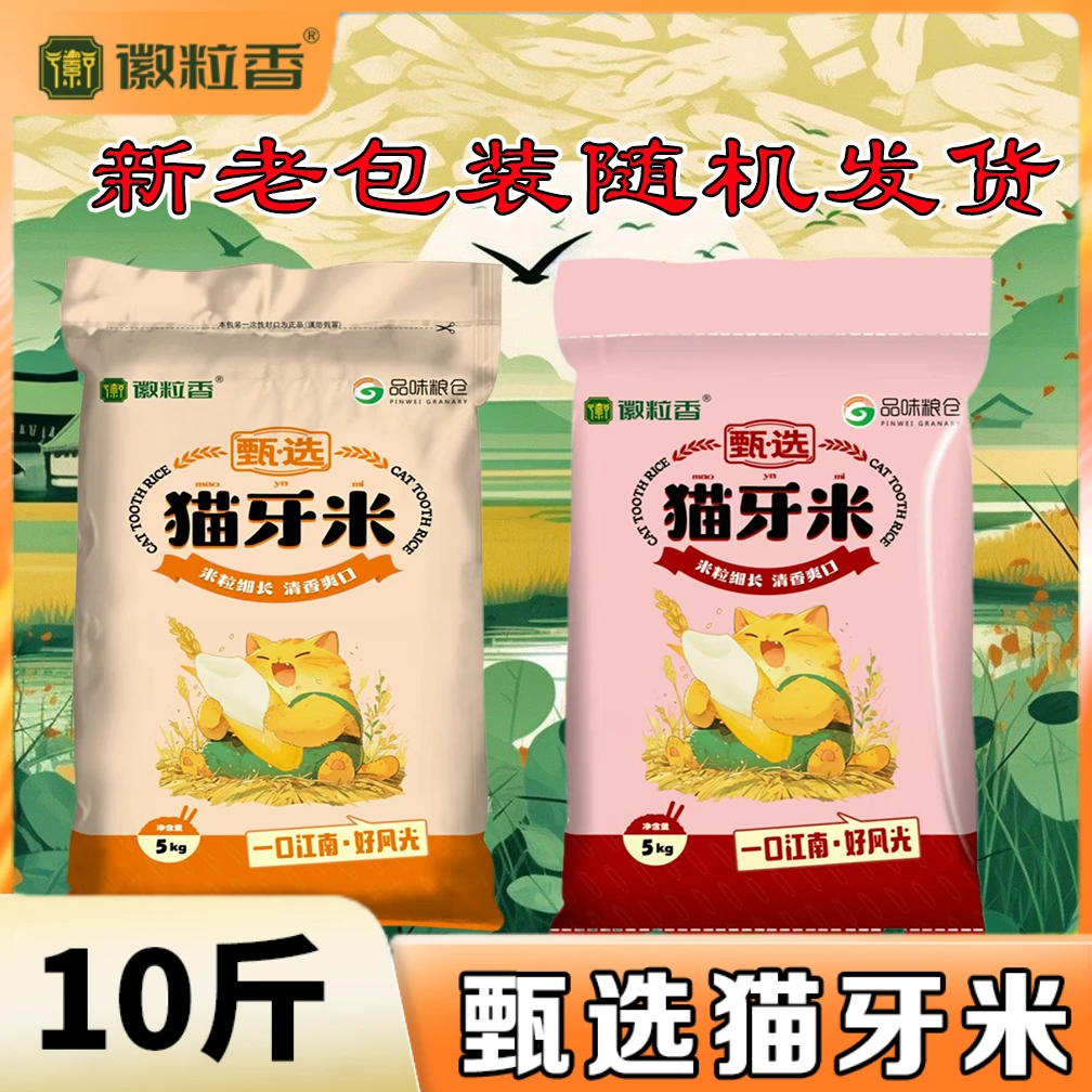 2024年当季新米甄选猫牙米南方长粒米