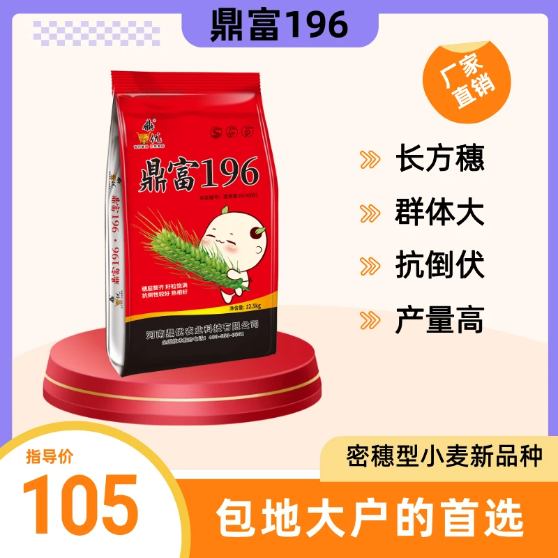 鼎优鼎富196小麦种抗冻强分蘖强容重高大红粒产量高一袋12.5kg