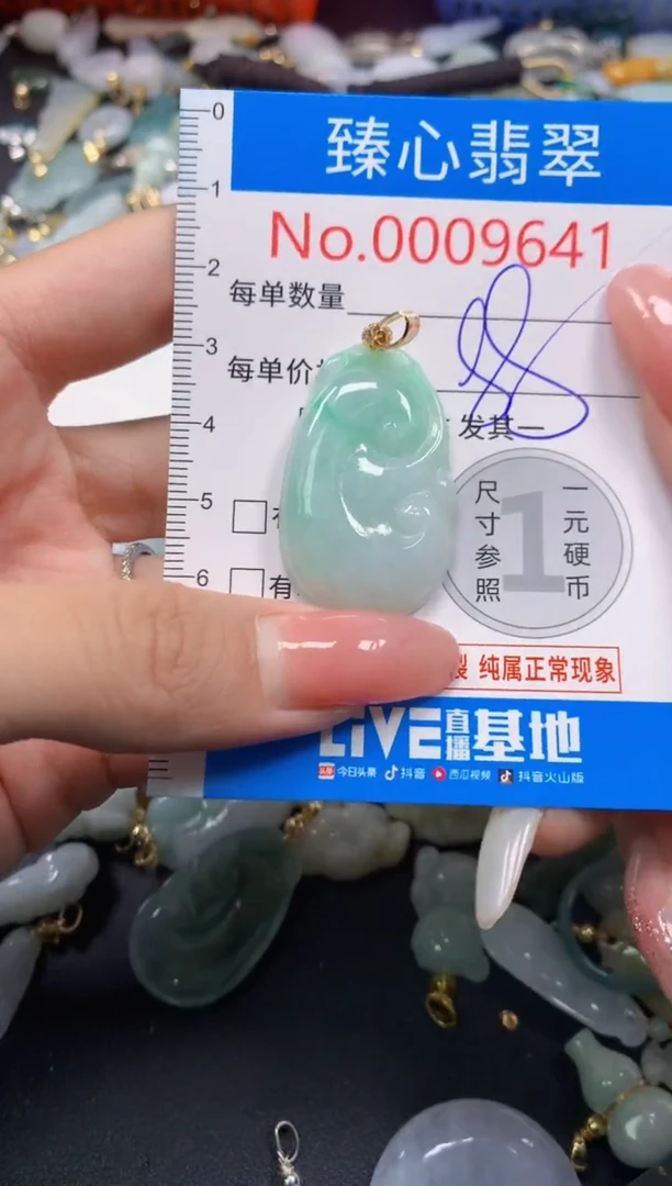 翡翠未镶嵌颈饰9641