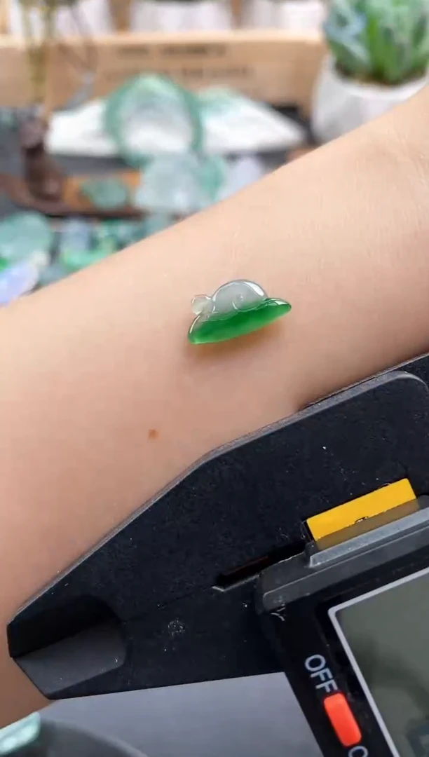 颈饰未镶嵌翡翠蜗牛