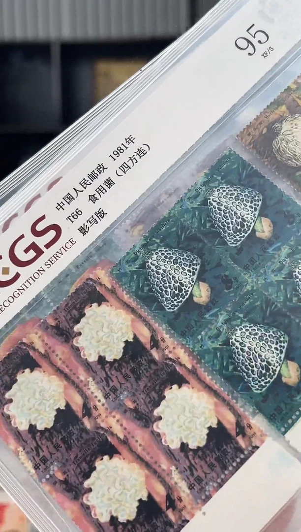 T66 食用菌套票 边纸四方联 精大盒