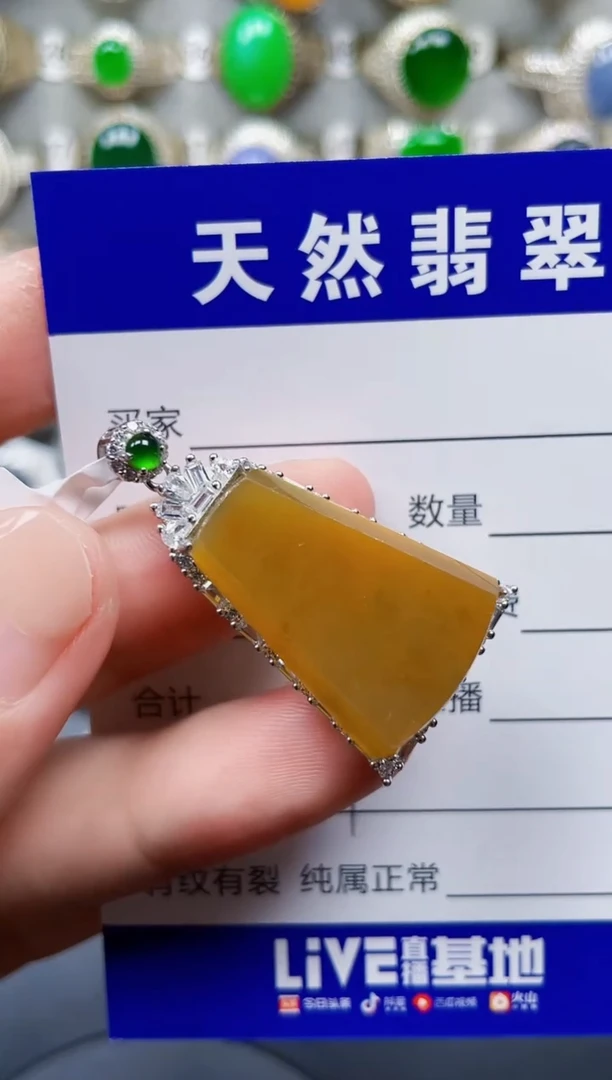 颈饰银S925镶嵌翡翠181