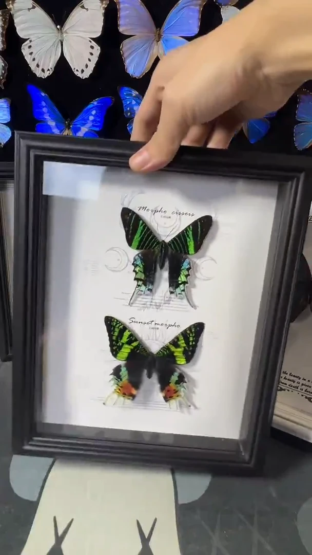 日月对蝶欧版相框