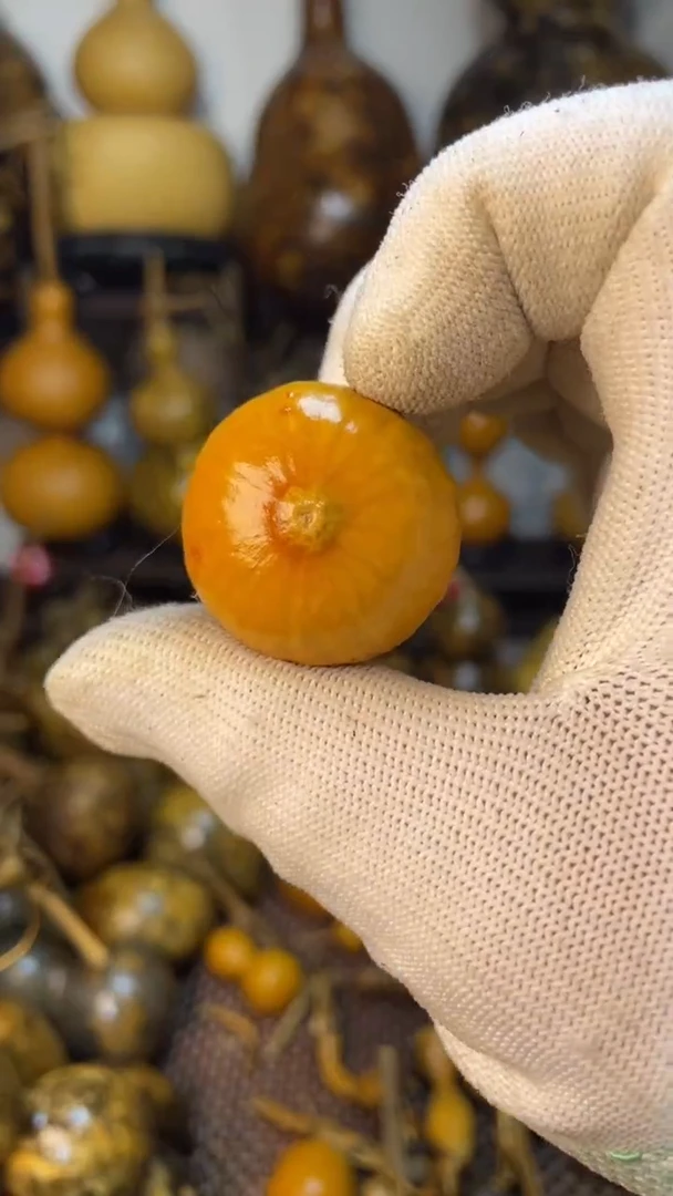 【闪购商品】葫芦葫芦葫芦葫芦葫芦