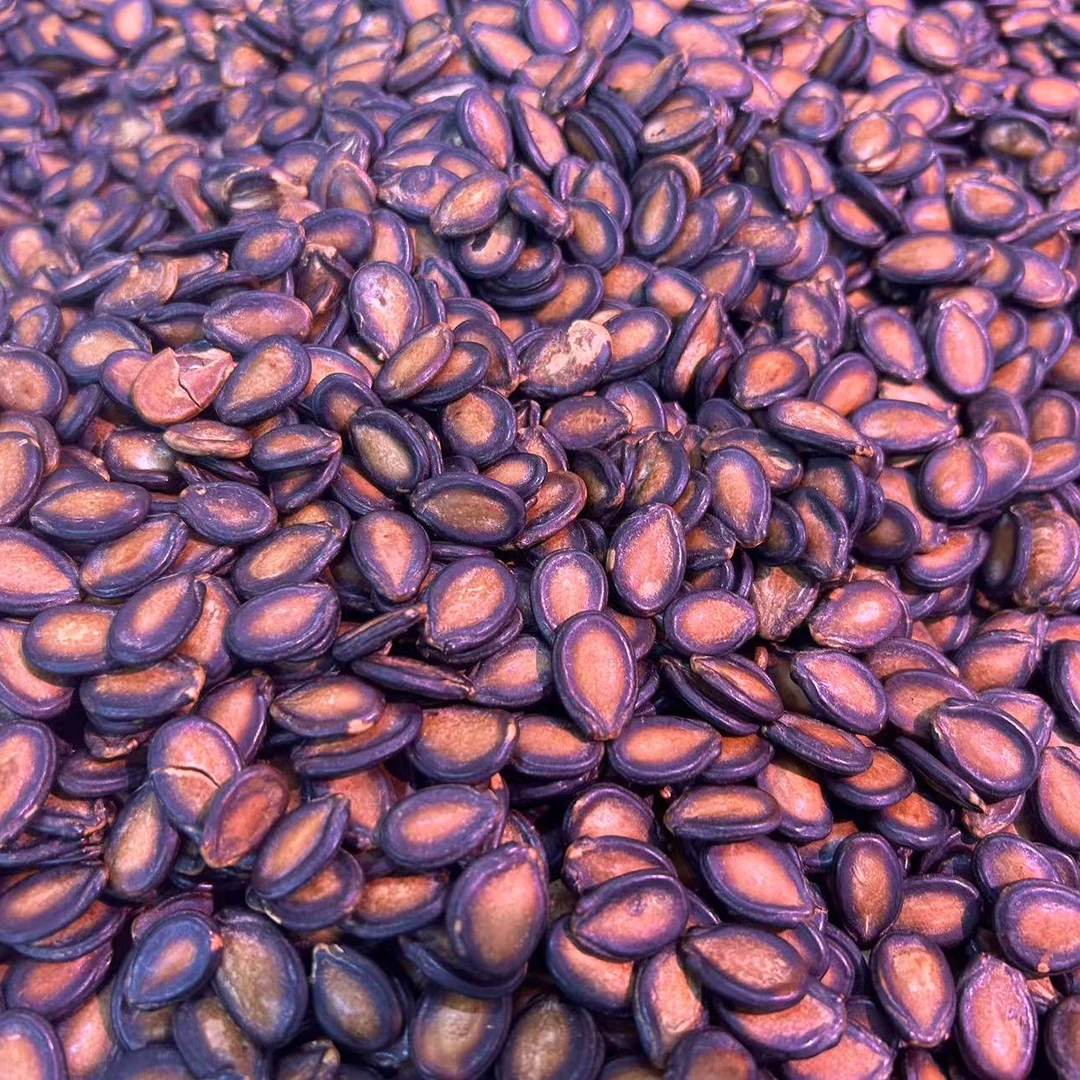 正林黑瓜子 1斤（干果）