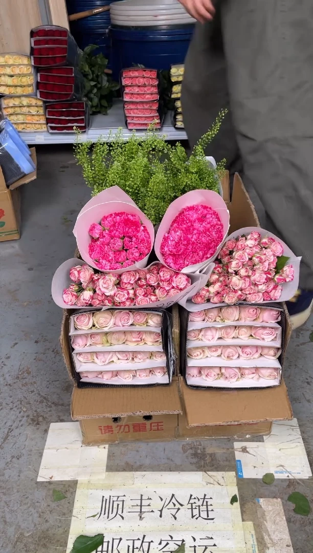 粉红20枝+折射10枝+小桃红20枝+绿林草