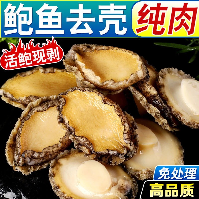 九孔鲍大号4-6厘米长新鲜鲍鱼肉现剥冷链包邮生鲜海鲜水产