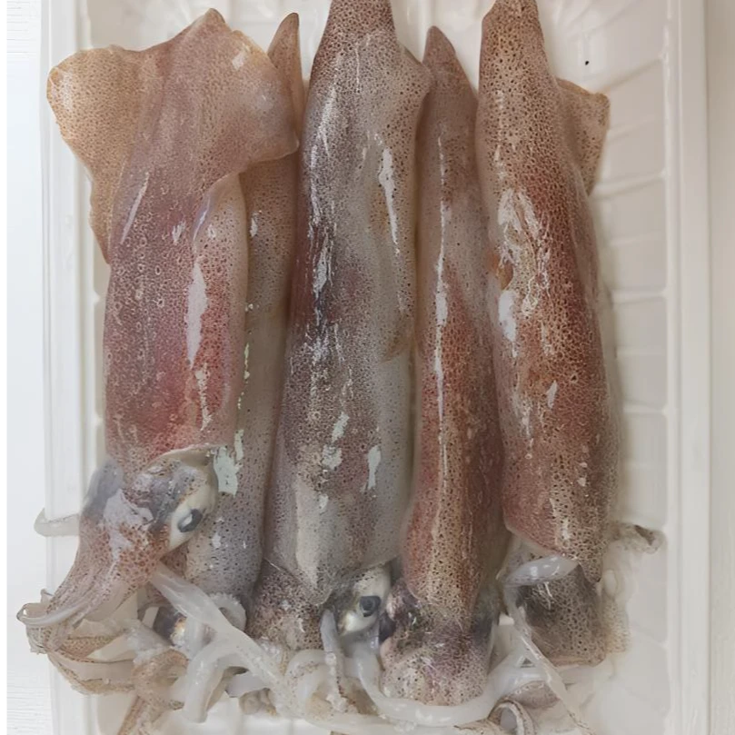 《猫小馋》北海天然鲜钓鱿鱼 约400克/袋  顺丰配送