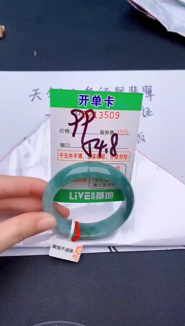 未镶嵌手镯翡翠09