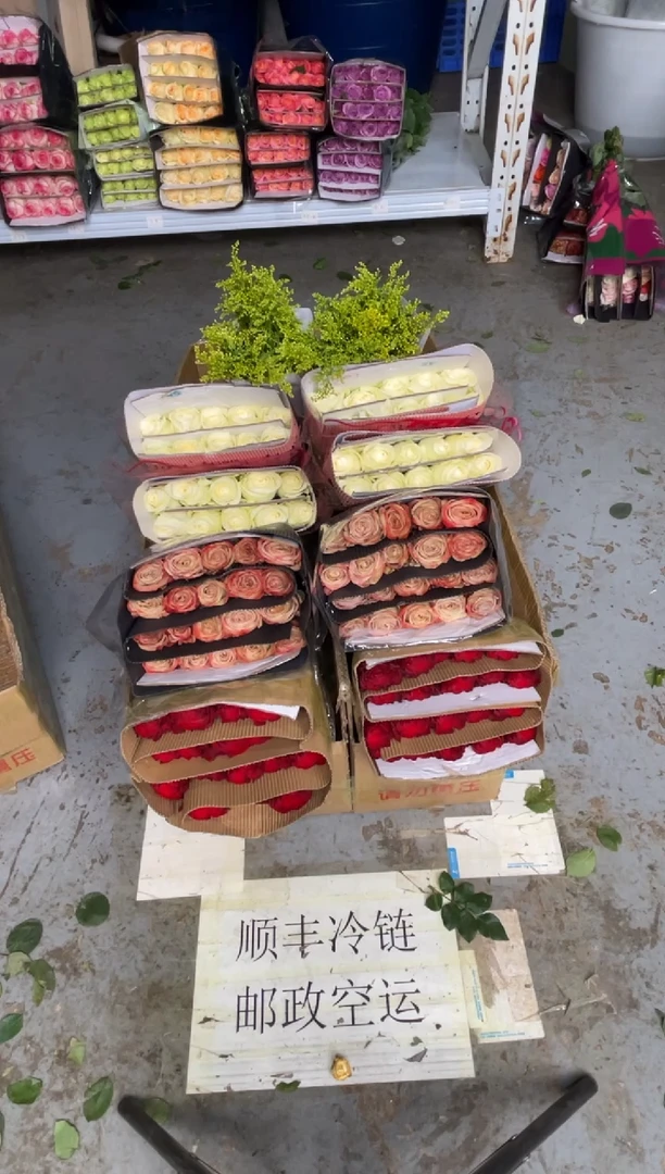 高原红20枝+卡布20枝+骄傲20枝+黄莺