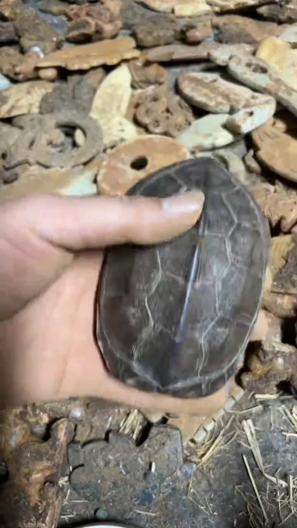 东顺摆件链接1524654654