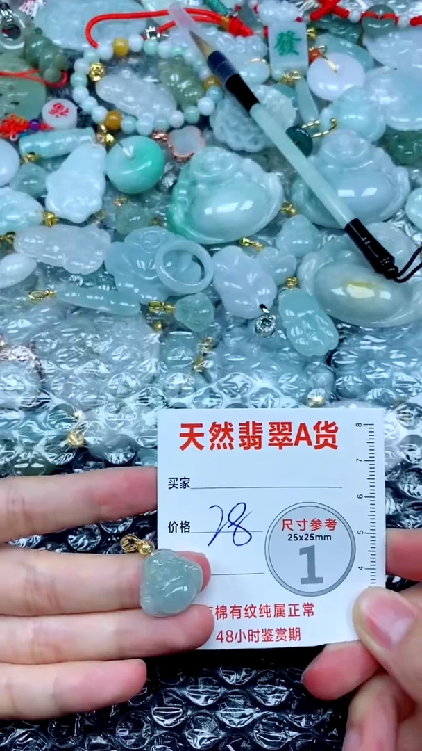 翡翠未镶嵌颈饰59号