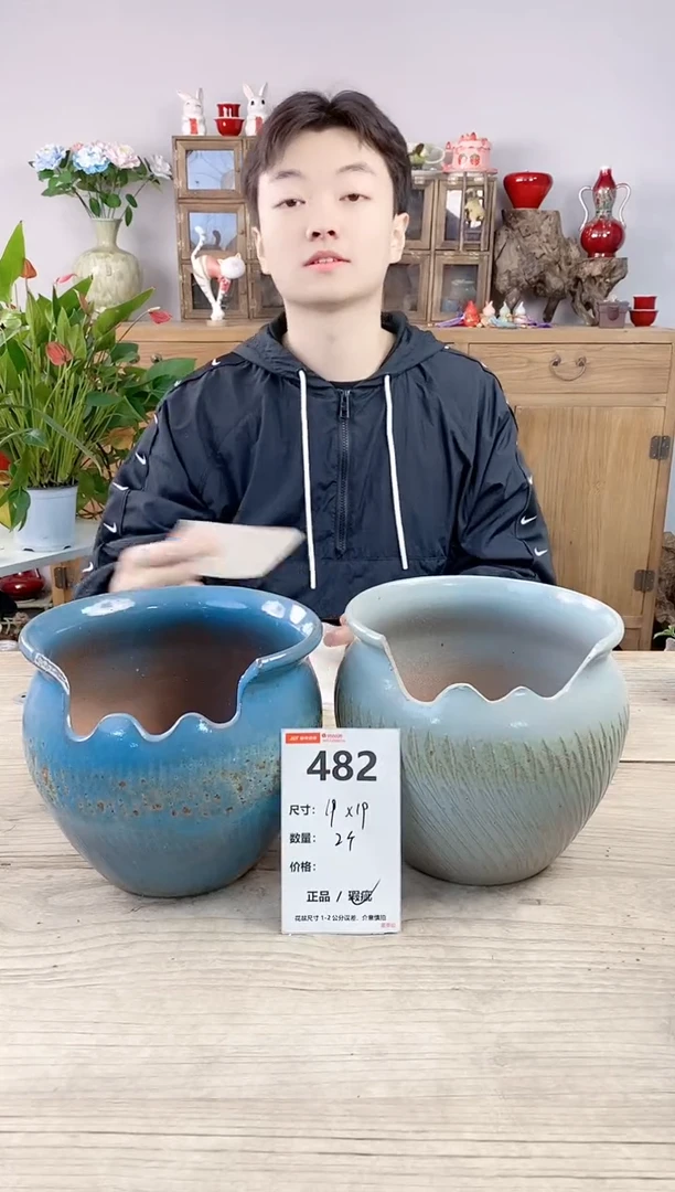 晴好园艺直播编号482