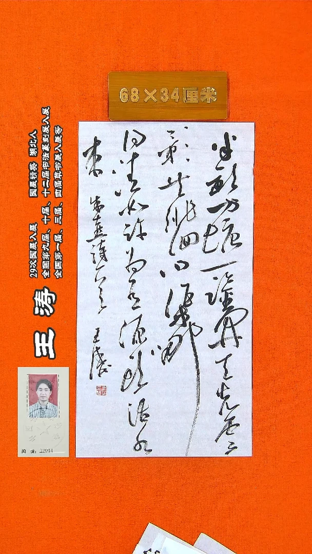 书法120a王涛书法作品