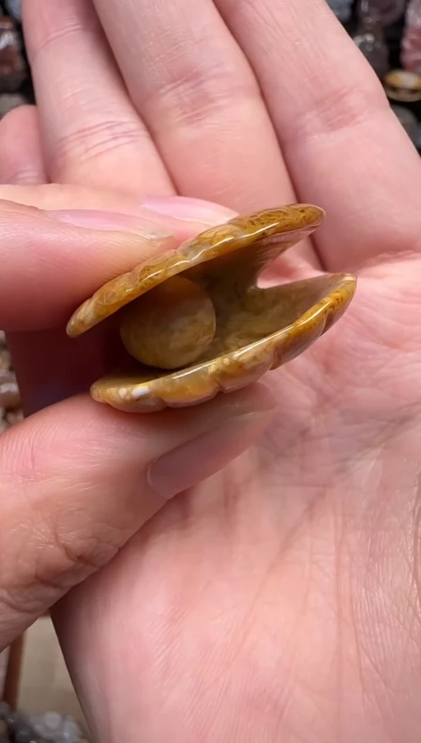 颈饰未镶嵌硅化珊瑚（珊瑚玉）616
