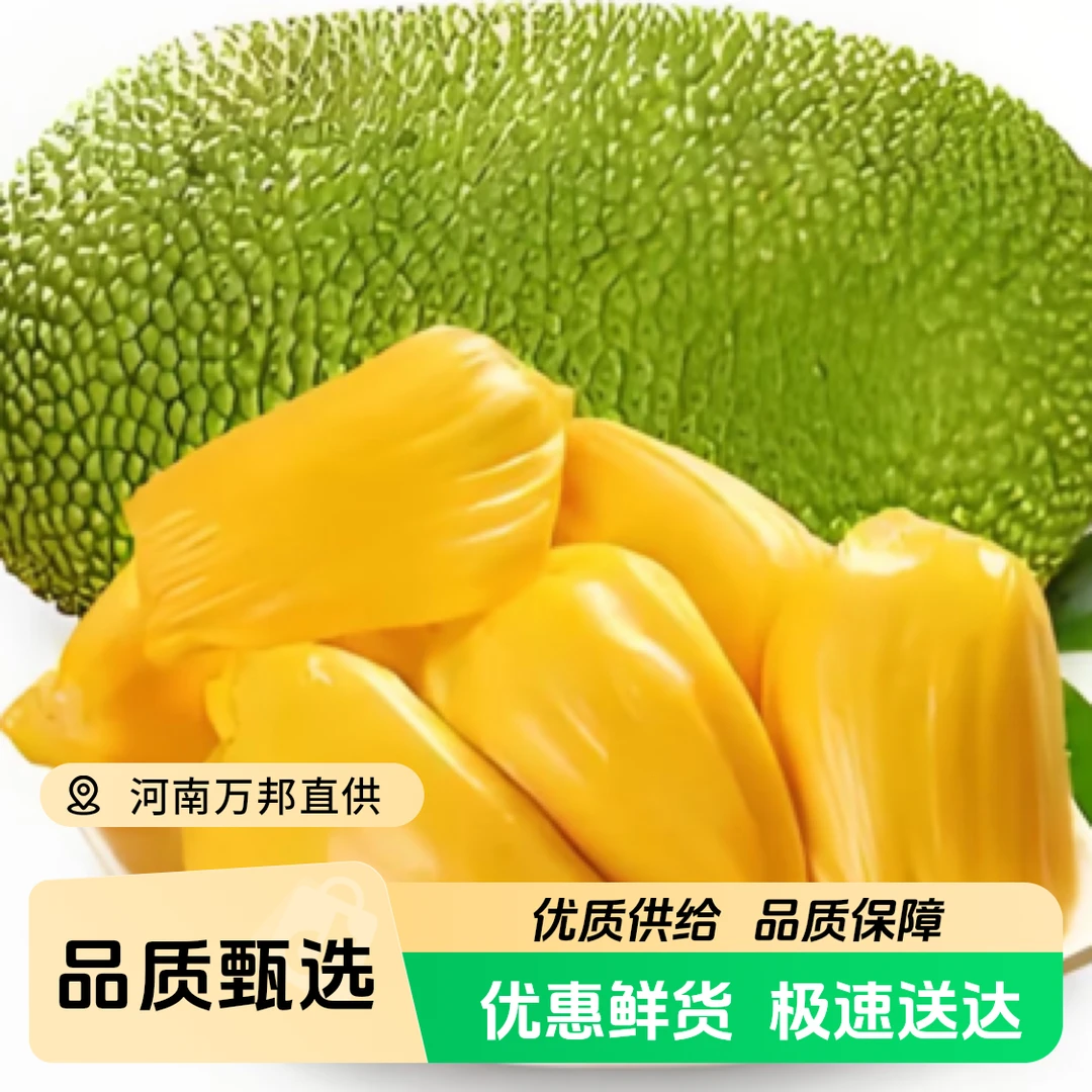 【顺丰包邮】正宗越南红【黄色果肉】树熟菠萝蜜5-16斤干包脆甜甜香甜软糯热带水果红肉菠萝蜜越南社会主义共和国