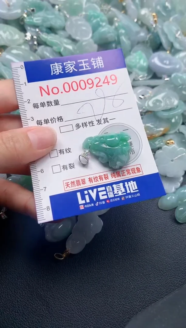 颈饰未镶嵌翡翠9249