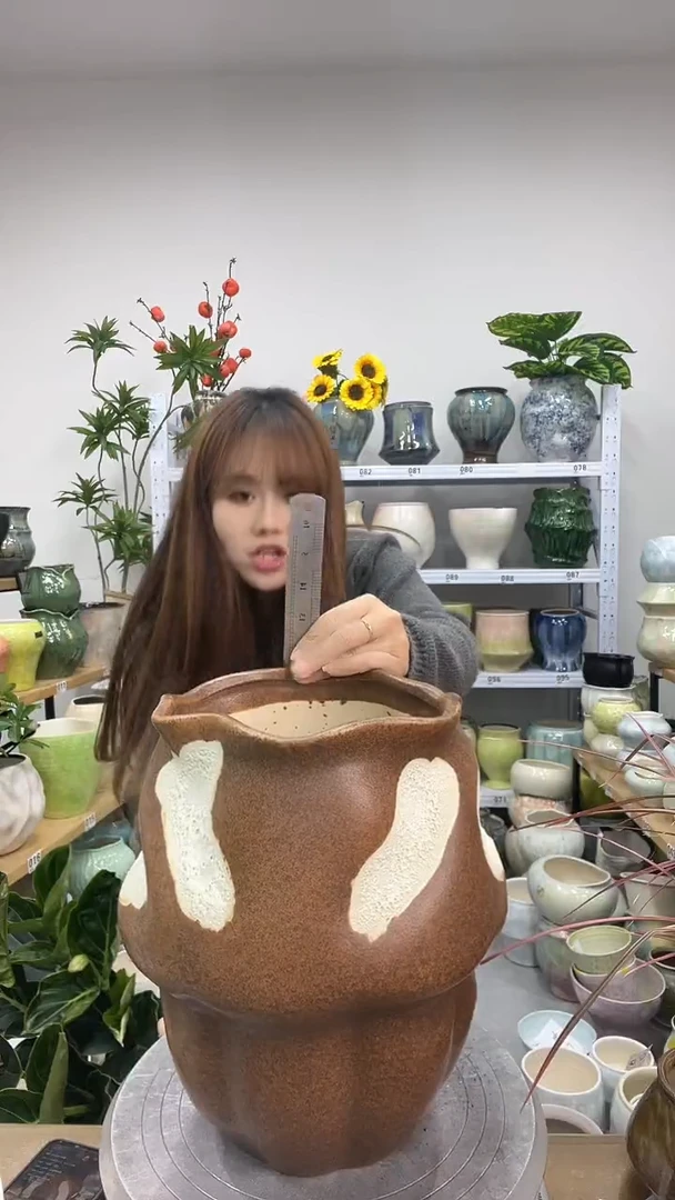 11.22陶瓷花盆直播链接高.   28   口20