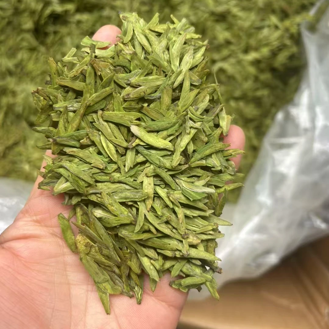 2025年乌牛早茶叶新茶单芽绿茶龙型茶扁茶春茶罐装