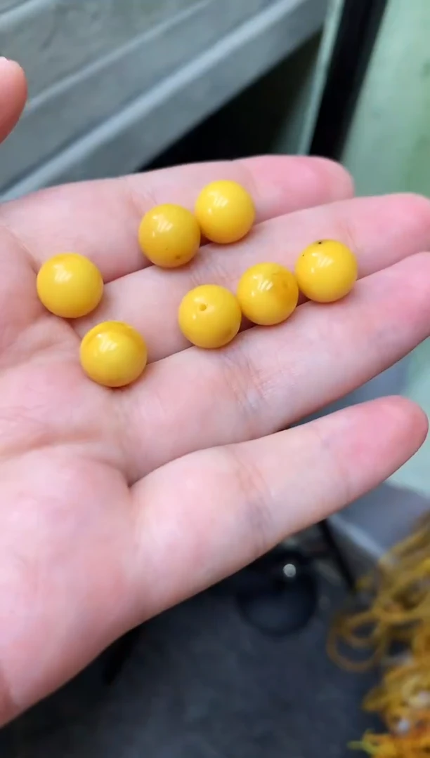 蜜蜡未镶嵌珠宝奇石5多样性发一件