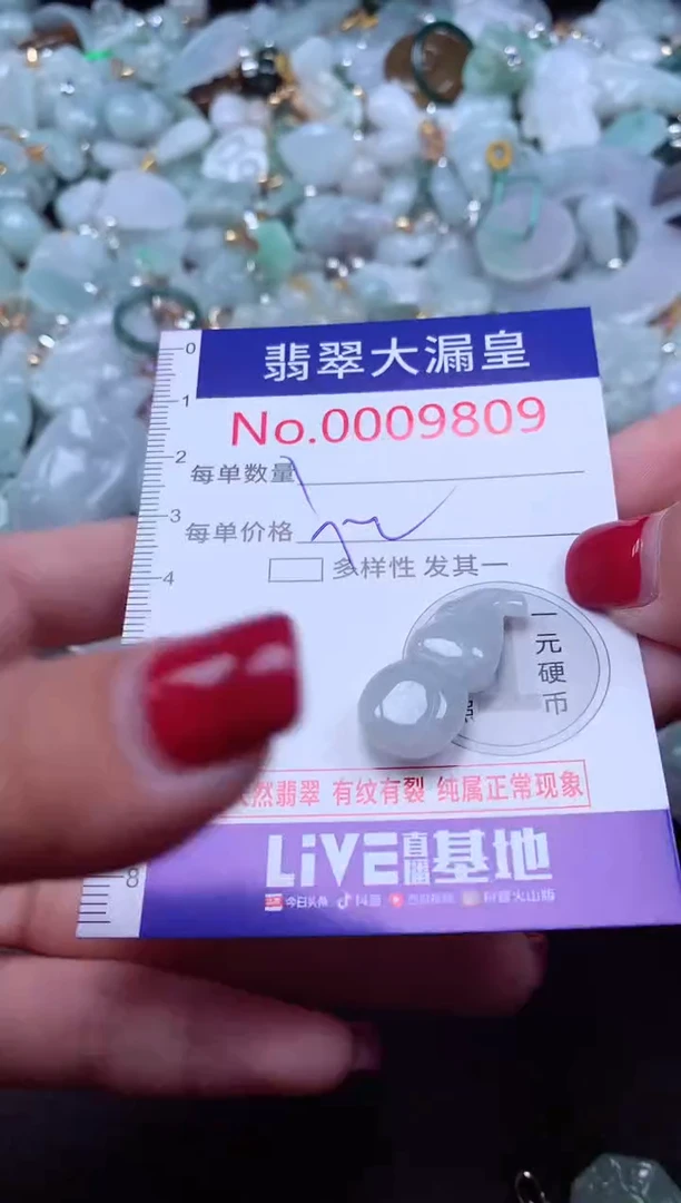颈饰未镶嵌翡翠9809