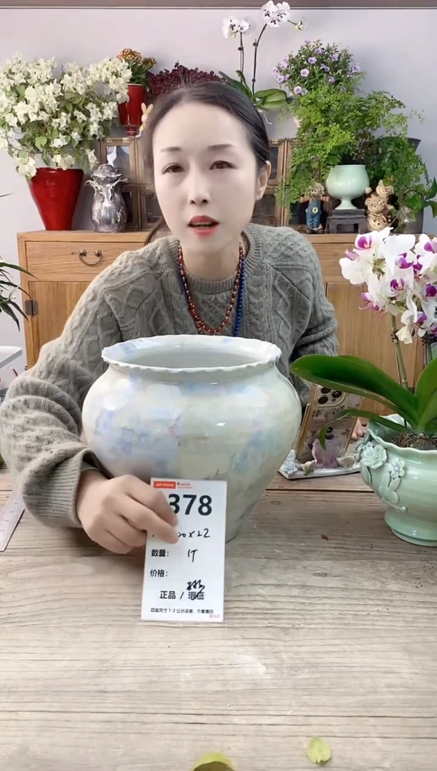 小玩子花盆直播编号378
