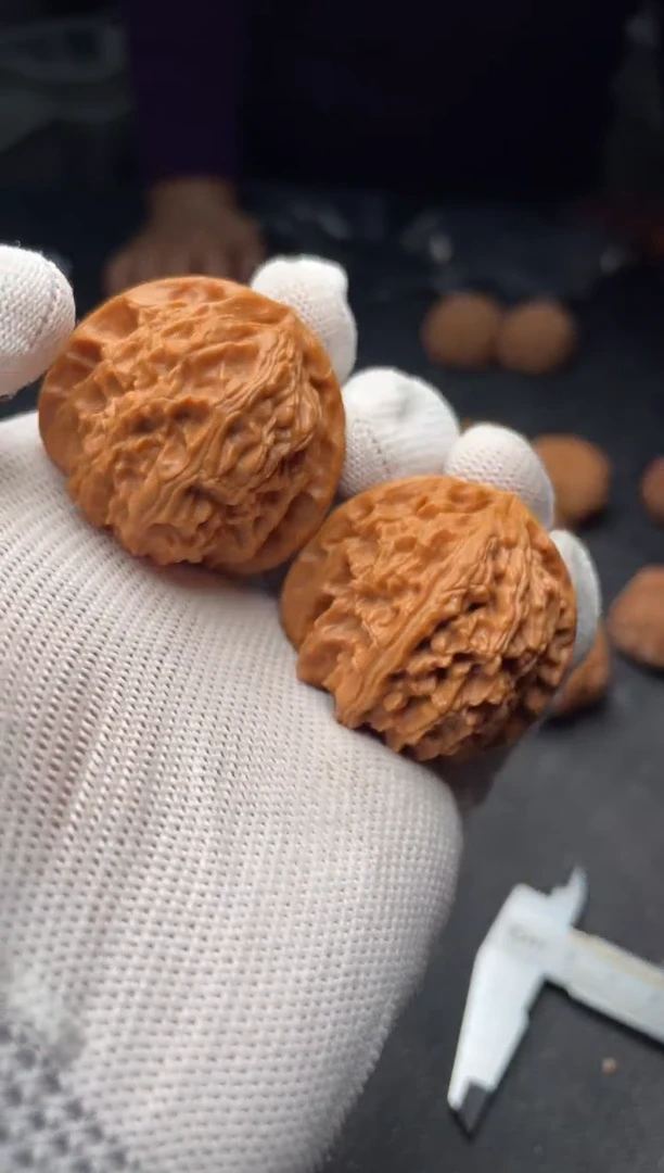 核桃a296   白狮子  37尺