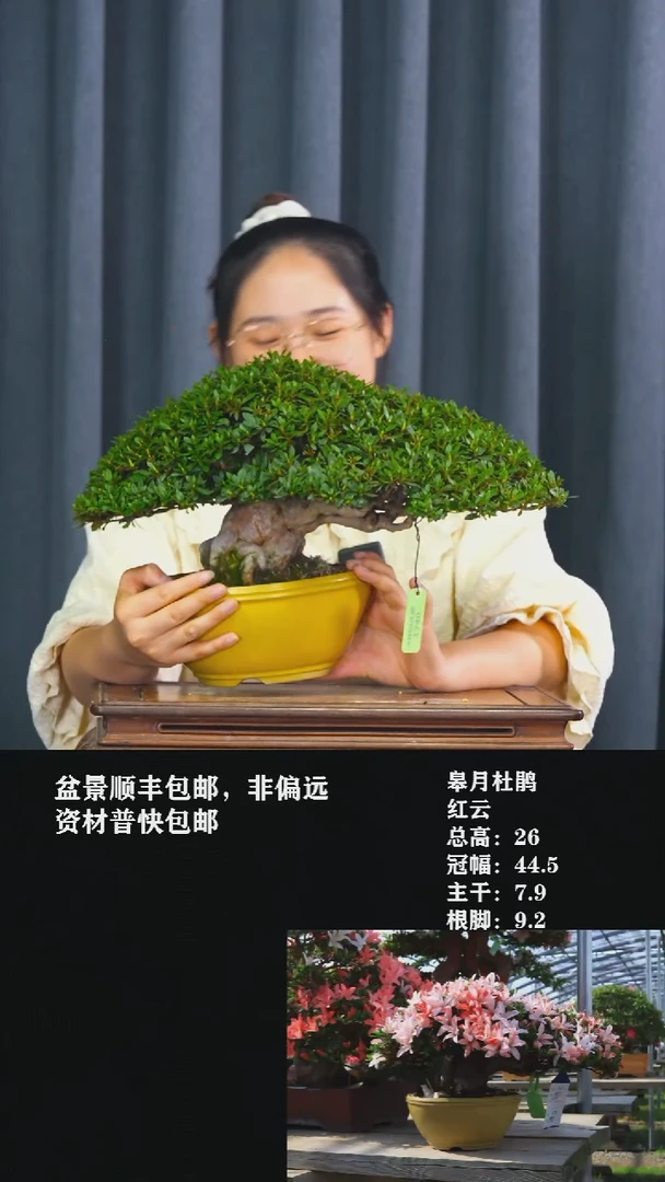 无花朵墨****n红云-G1740