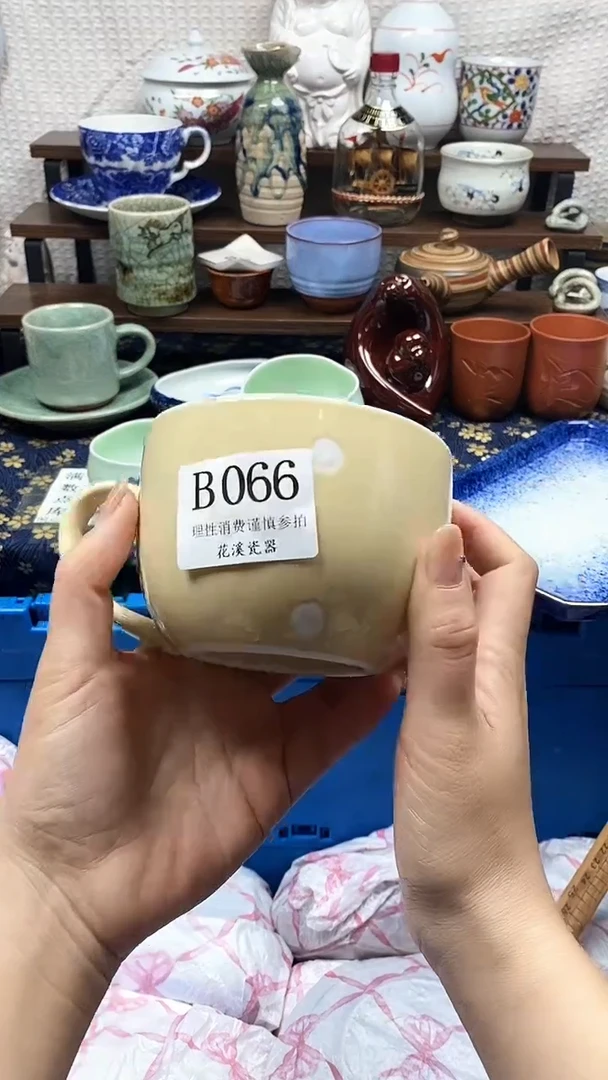 瓷片金****肉           B066