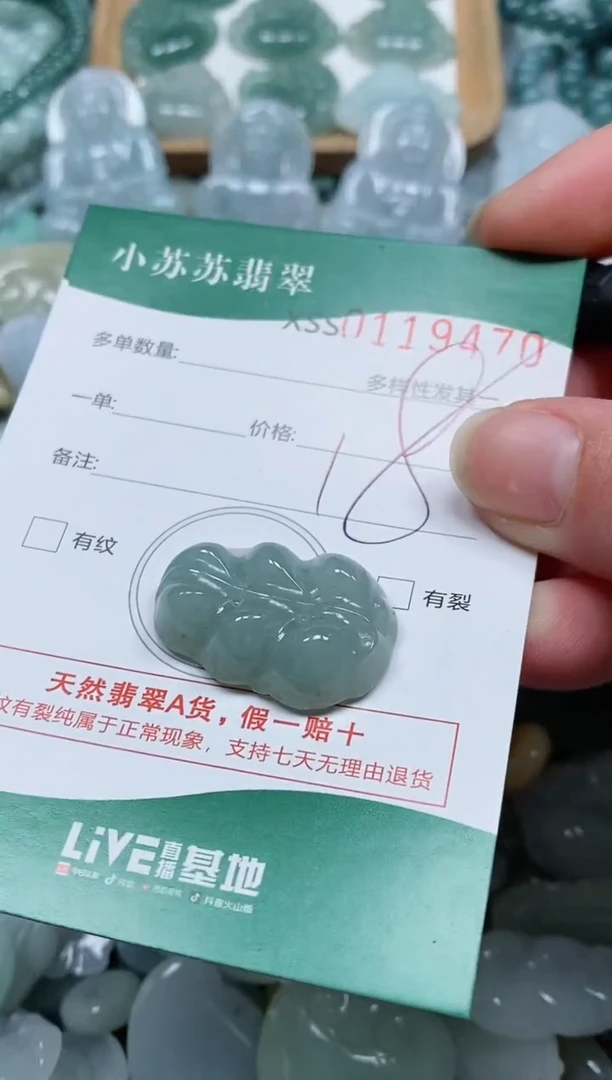 【闪购商品】翡翠颈饰未镶嵌闪购商品0119470