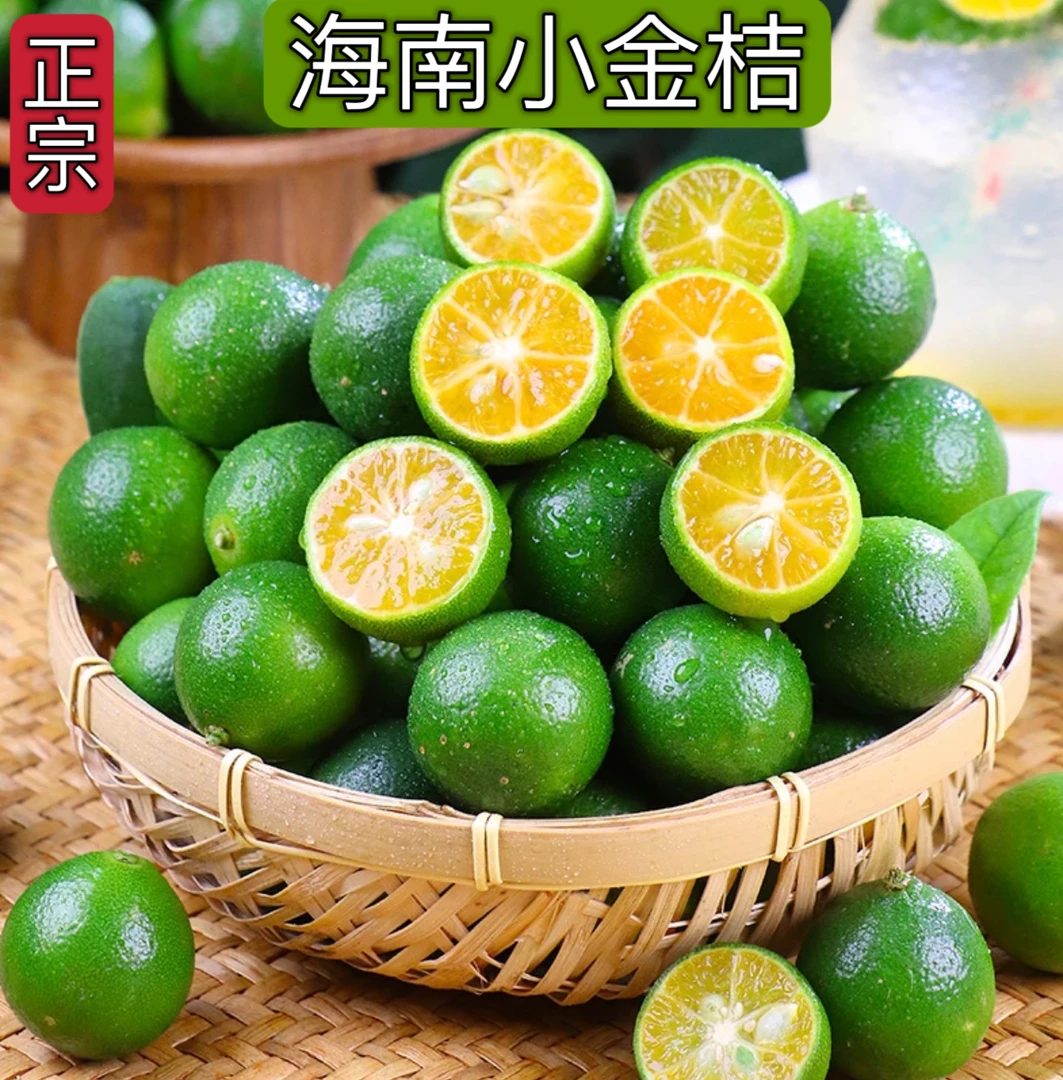 海南正宗小金桔新鲜水果皮薄多汁酸爽火锅蘸料青金桔奶茶店小柠檬